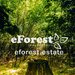 Crevedia eForest 2 Cartier rezidential la padure,
